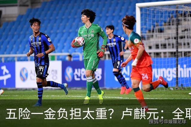 五险一金负担太重？卢麒元：全取消，征房产直接税，经济才会正常