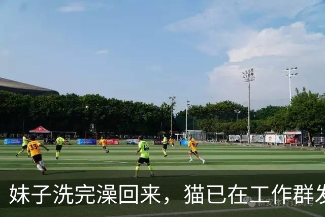 妹子洗完澡回来，猫已在工作群发了几百条信息，当场崩溃：光撤回就花了30分钟！