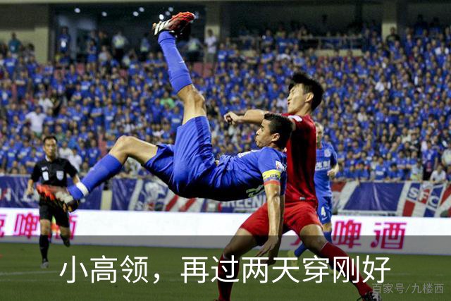 小高领，再过两天穿刚好